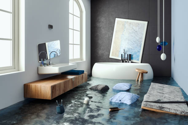 Best Professional water damage repair  in Atwood, IL
