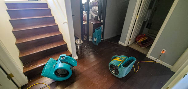 Best Fire Damage Restoration  in Atwood, IL