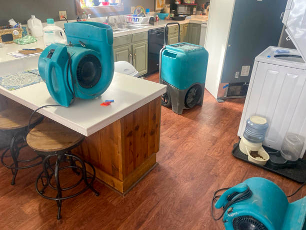Best Carpet water damage restoration  in Atwood, IL