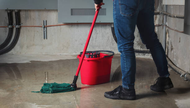 Best Ceiling water damage repair  in Atwood, IL