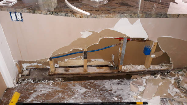 Best 24-hour water damage restoration  in Atwood, IL